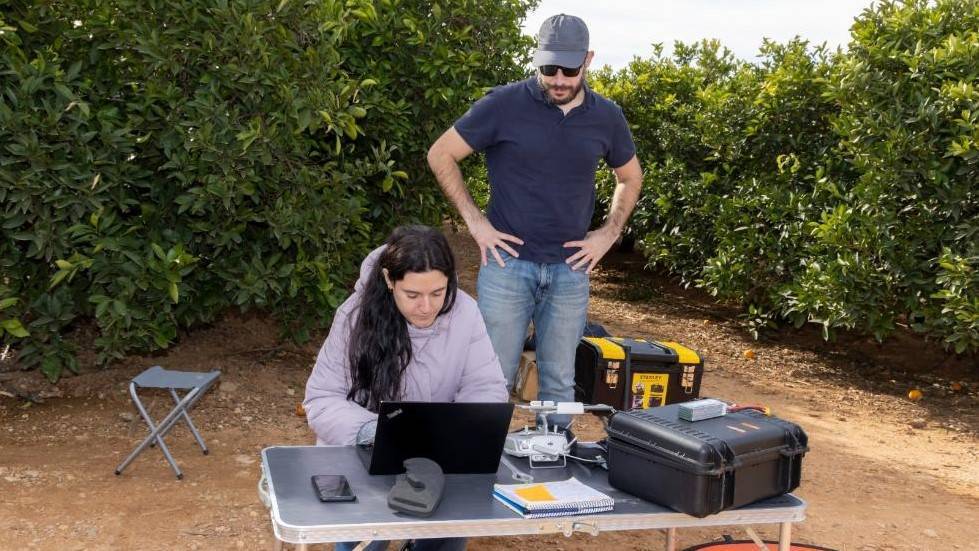 Proyecto SENSOPLAG plagas cítricos